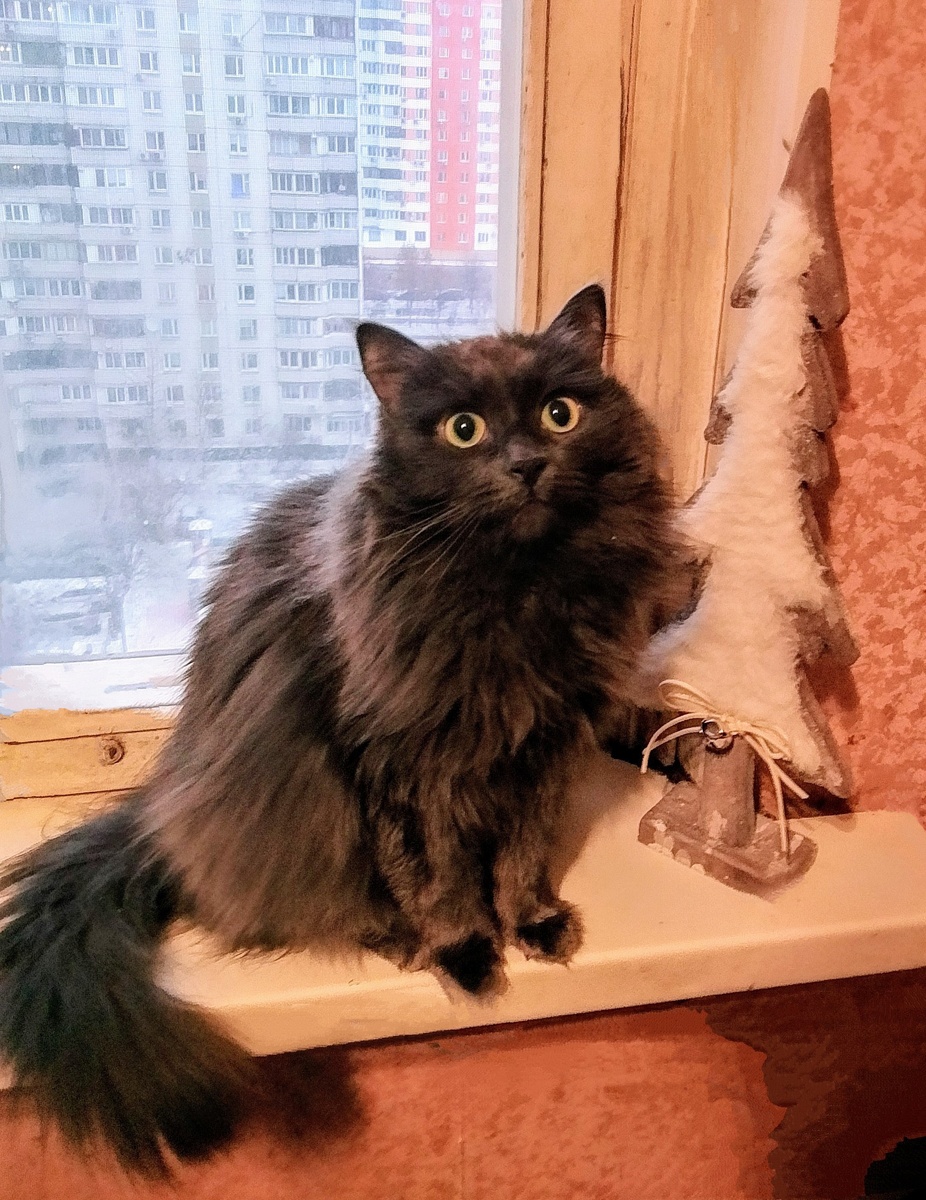 Варя поздравляет