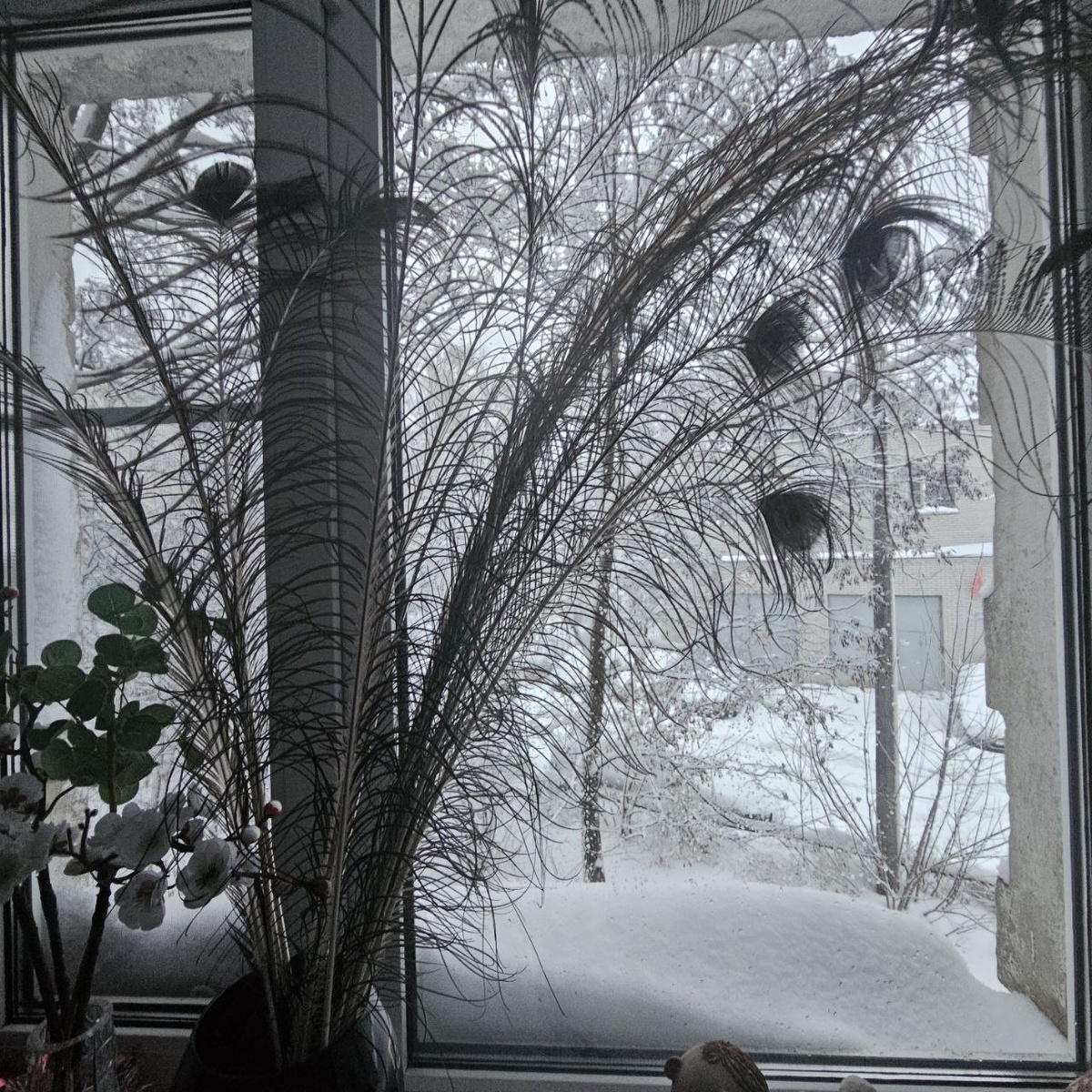 Вот таким был вид из моего окна после метели...