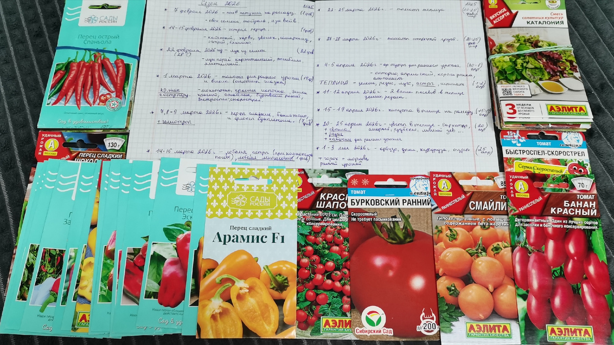 Планы на новый сезон. 