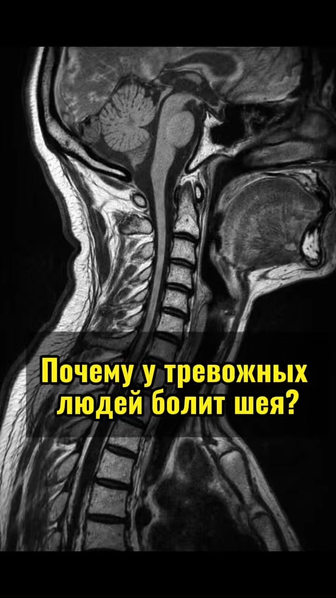 Все конечно бегут на обследования…