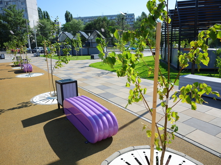     © Фото: ИД «Волгоградская правда» / Кирилл Брага / архив.