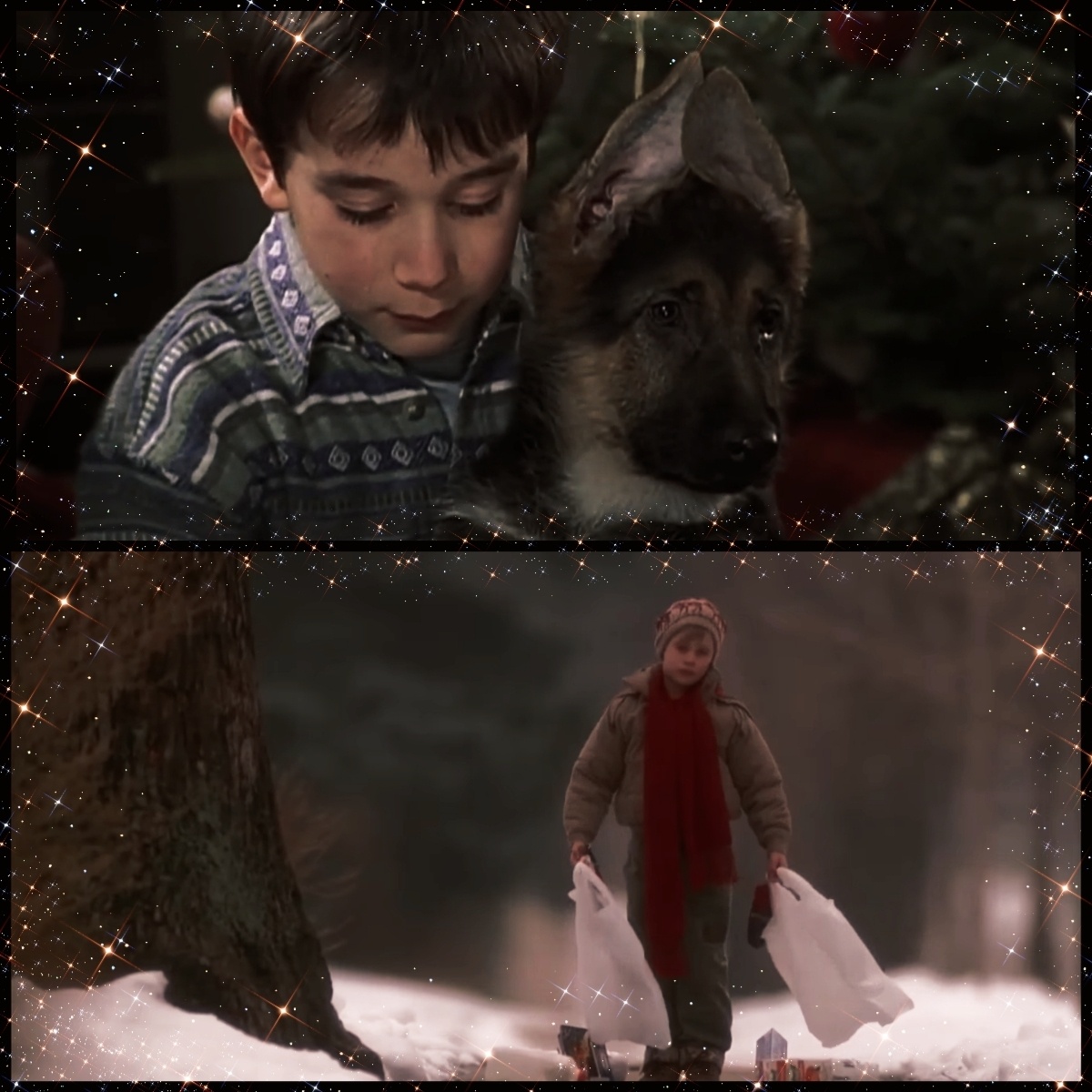 Кадры из фильмов "Малыш Рекс - четвероногий детектив" и "Один дома"