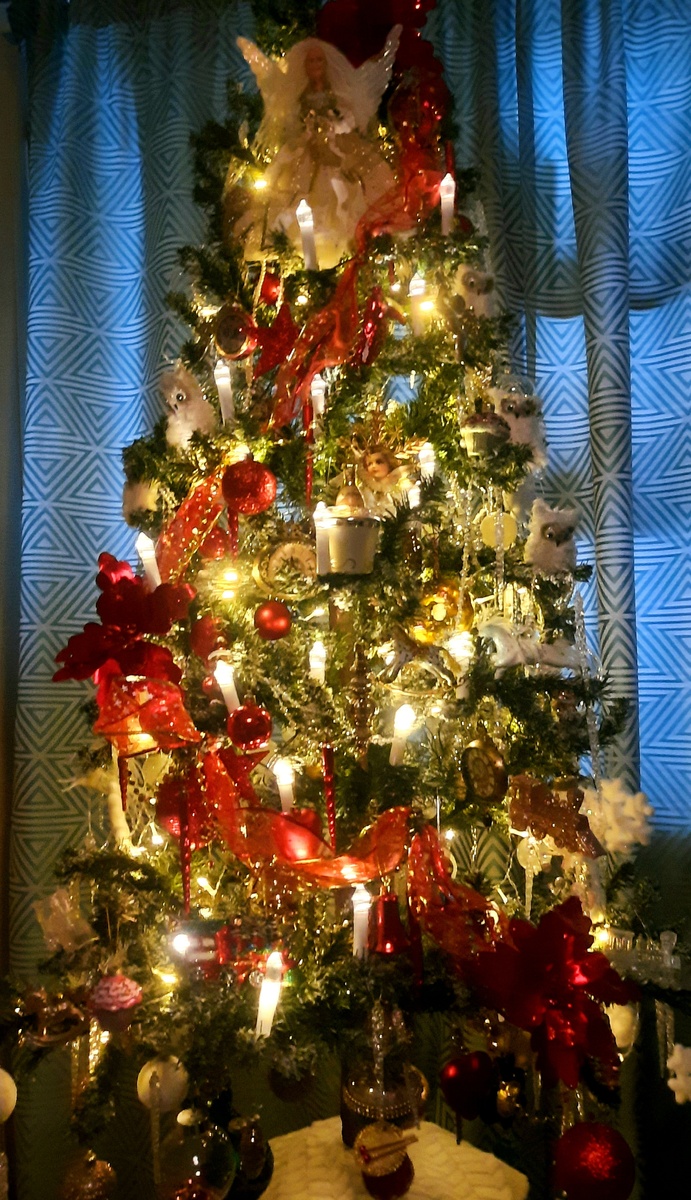 Фото автора.