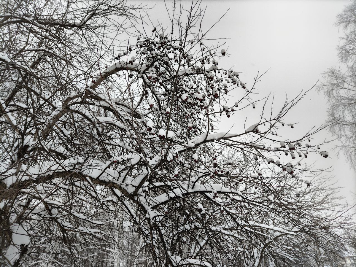 Фото автора.