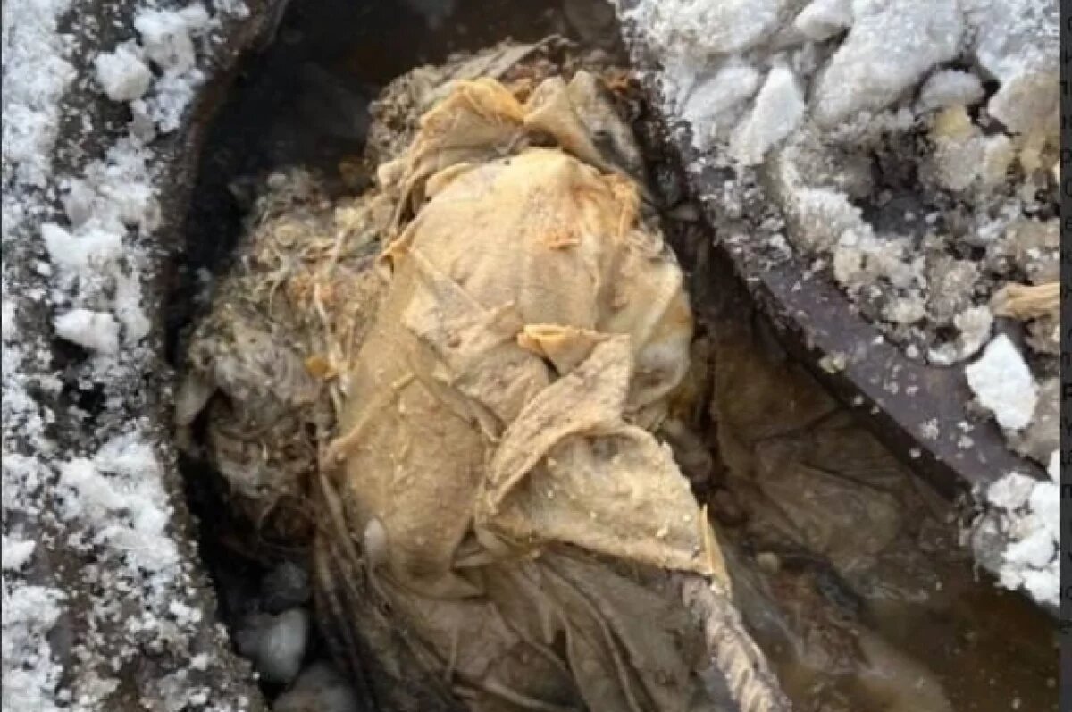    Петербуржцам отключили воду из-за выбрасывания тряпок в унитаз