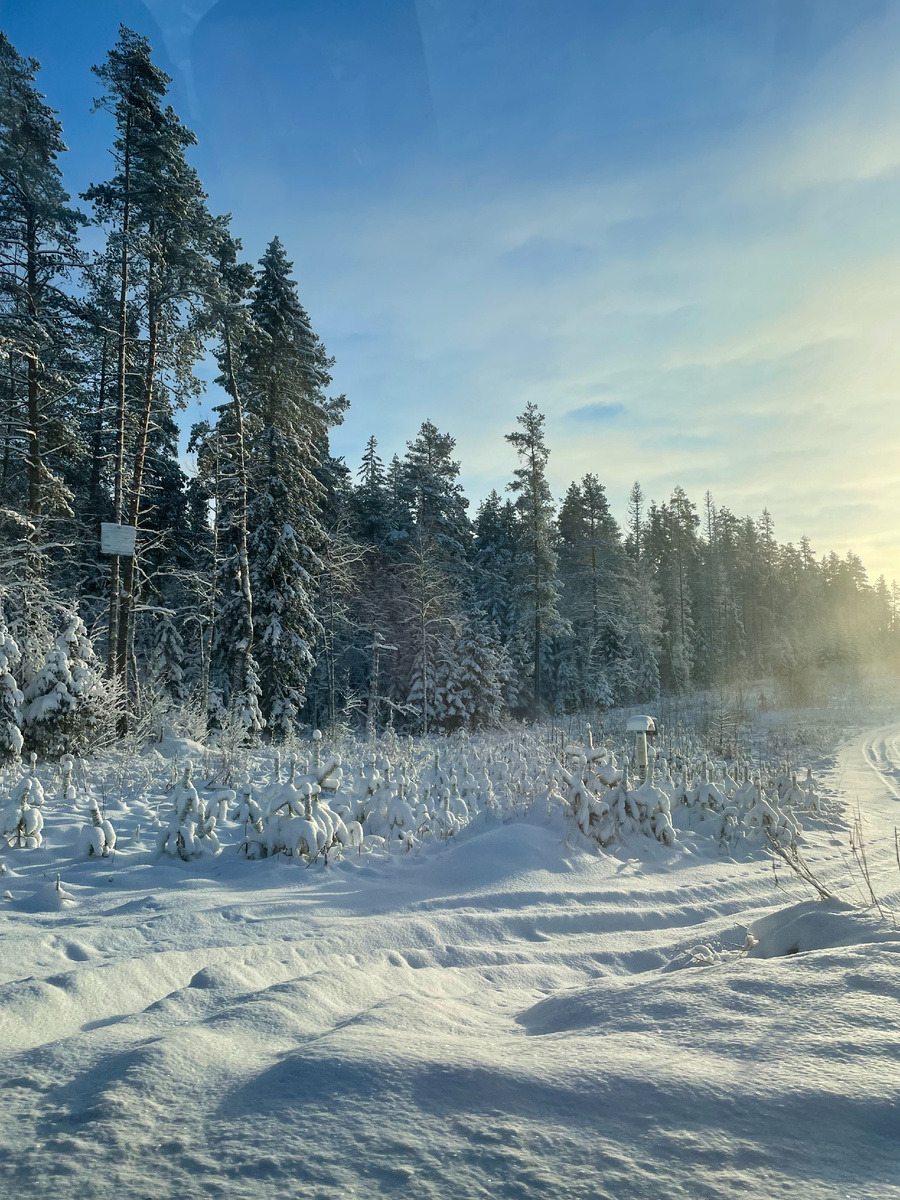 Рождественский мороз.