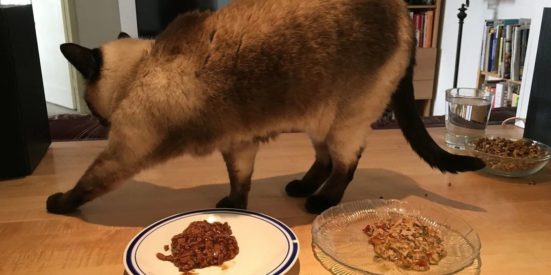 Знаете, у человеков одно и тоже слово или жест может иметь разное значение в зависимости от ситуации