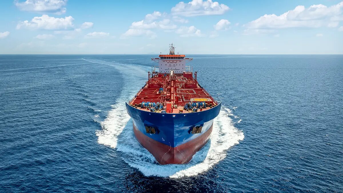    Фото: vm.ru Павел Евсеев