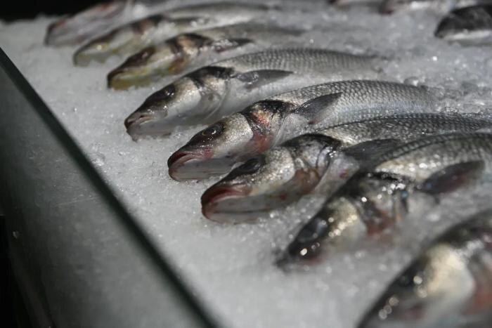 Обложка © Life.ru