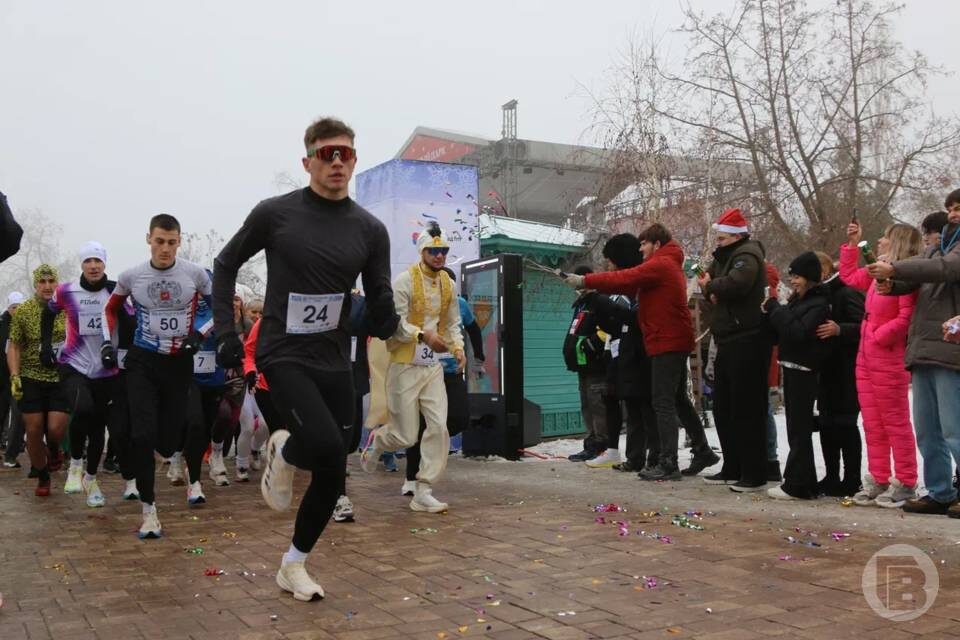    Фото: Матвей Горбунов/"Городские вести"