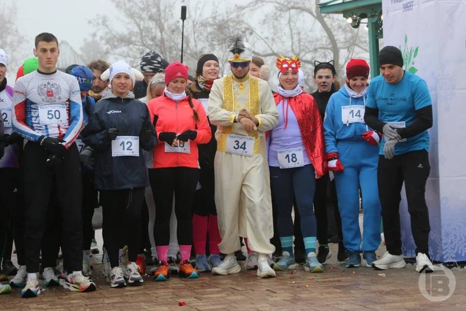    Фото: Матвей Горбунов/"Городские вести"