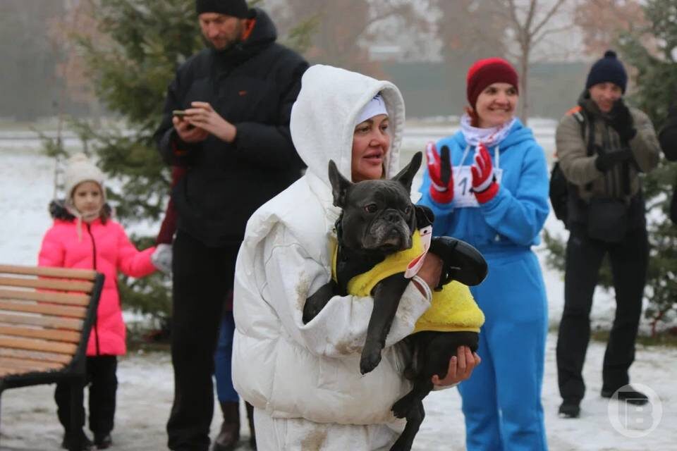    Фото: Матвей Горбунов/"Городские вести"