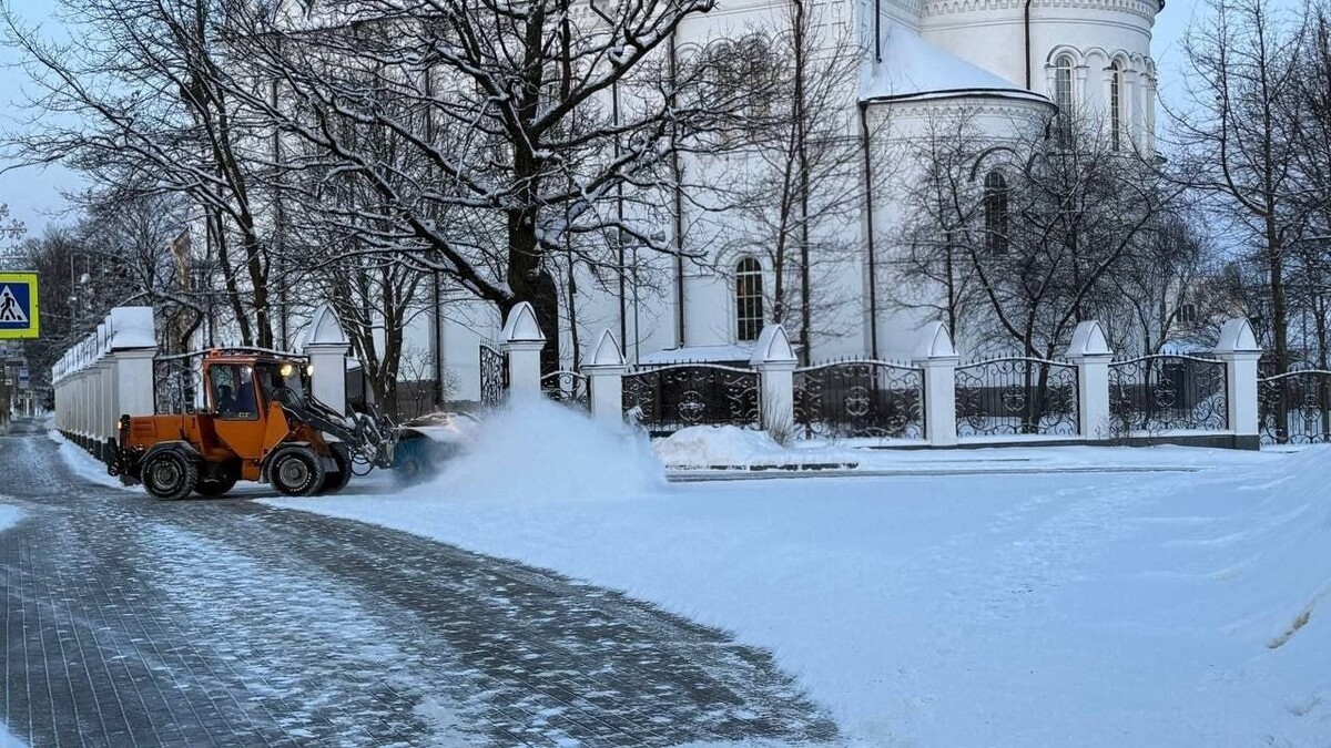   Telegram-канал комитета по благоустройству Петербурга