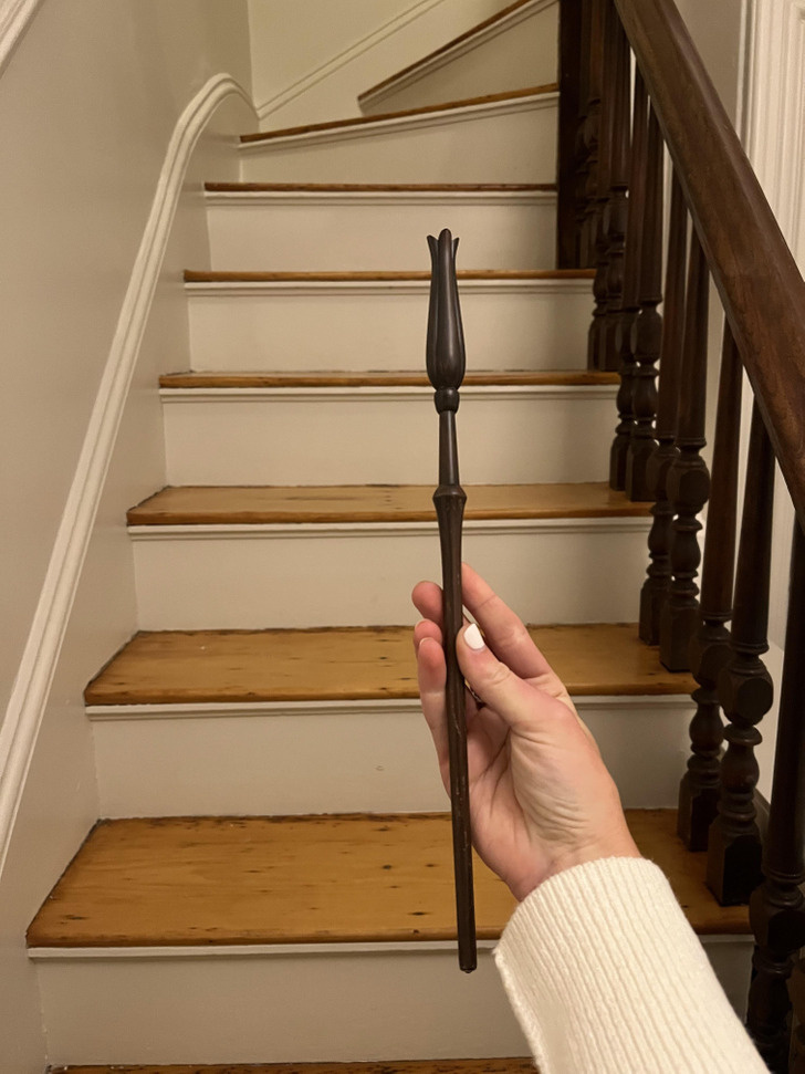 © Fancy_Pickle_8164