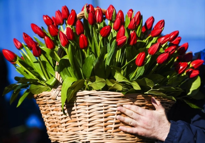 © Sputnik / Рамиль Ситдиков 