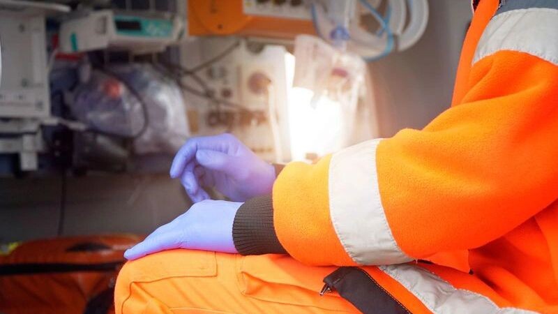    Фото: Dan Race/Shutterstock/Fotodom