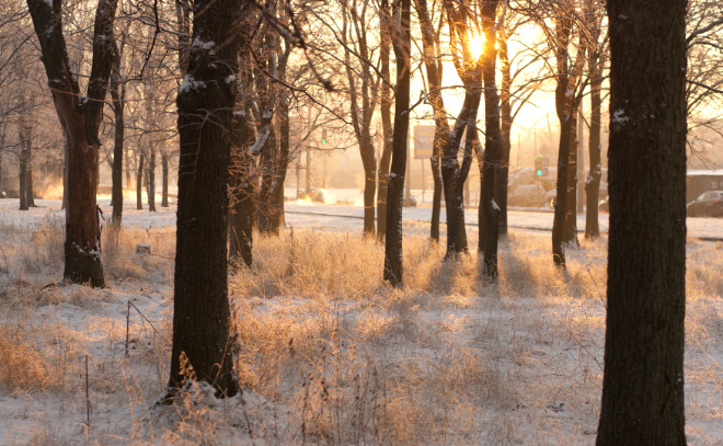    © Baltphоto/ Валентин Егоршин