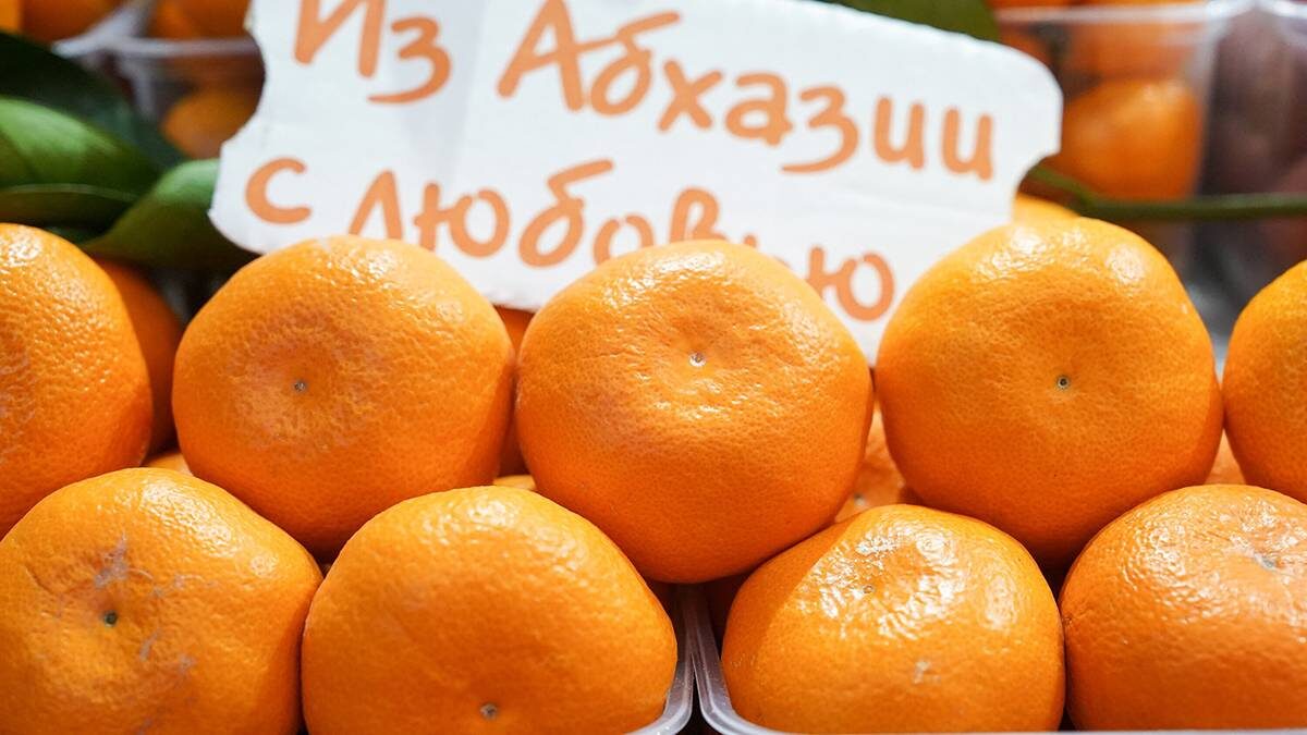    Фото: Александр Авилов / АГН Москва