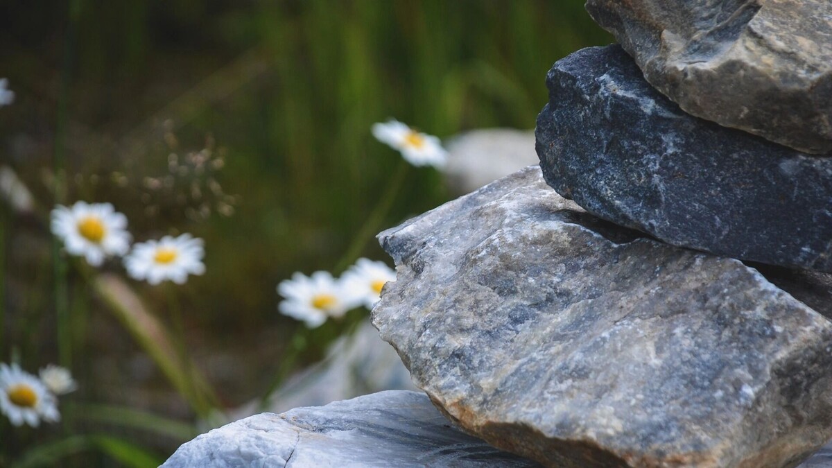    Караканский бор особенно хорош в теплую погоду.   1MI