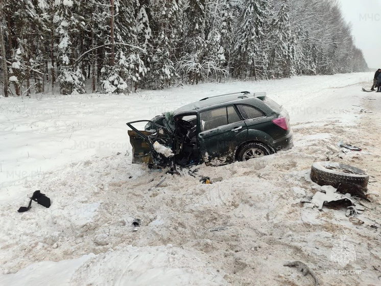     ГУ МЧС России по Костромской области