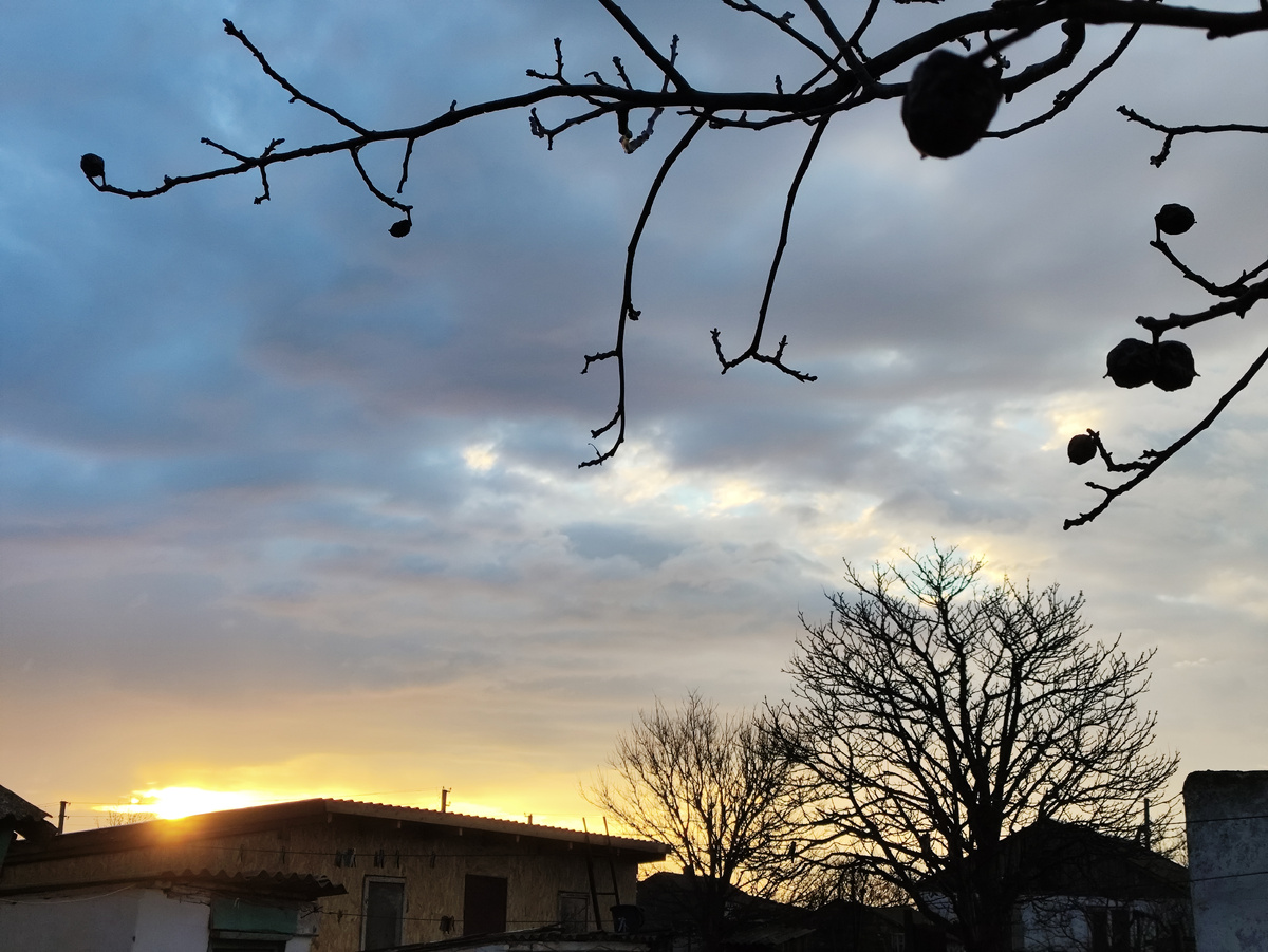 Наш новый сарай теперь стал домом восходящего солнца )))