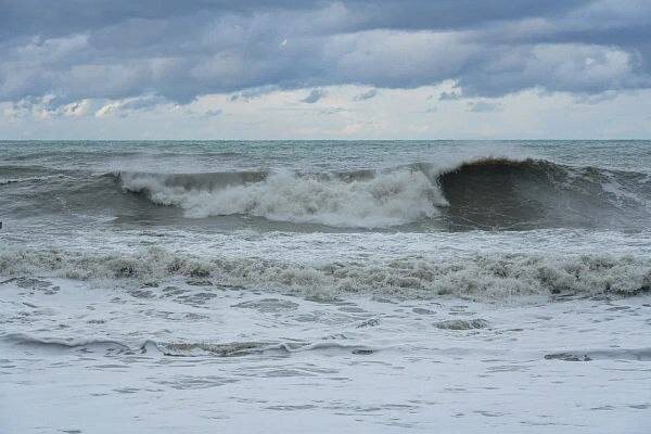    Фото: пресс-служба администрации города Сочи