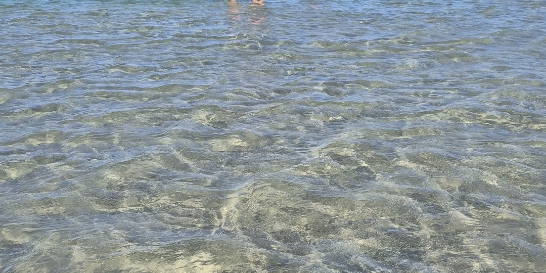 Вот мы и дома. До свидания, Египет