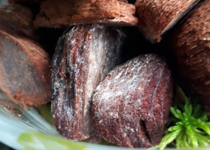 Пример плесени в горшке с варёной корой