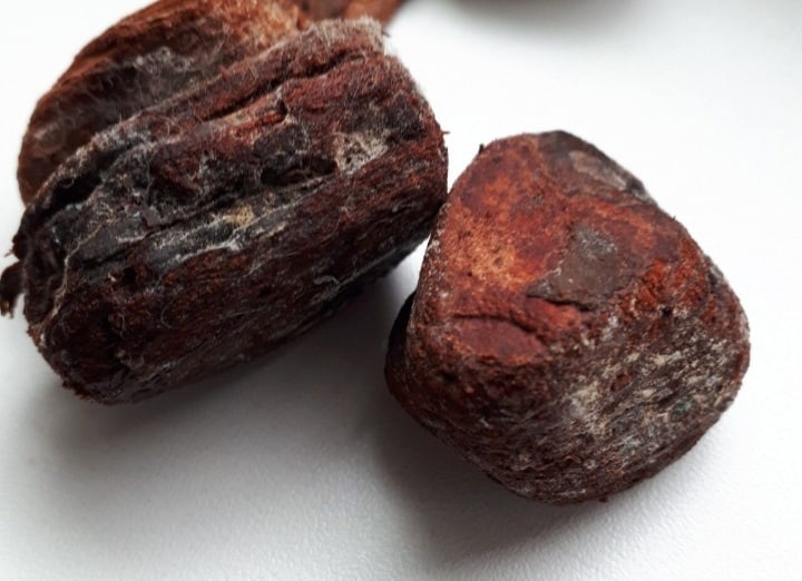 Пример плесени в горшке с варёной корой