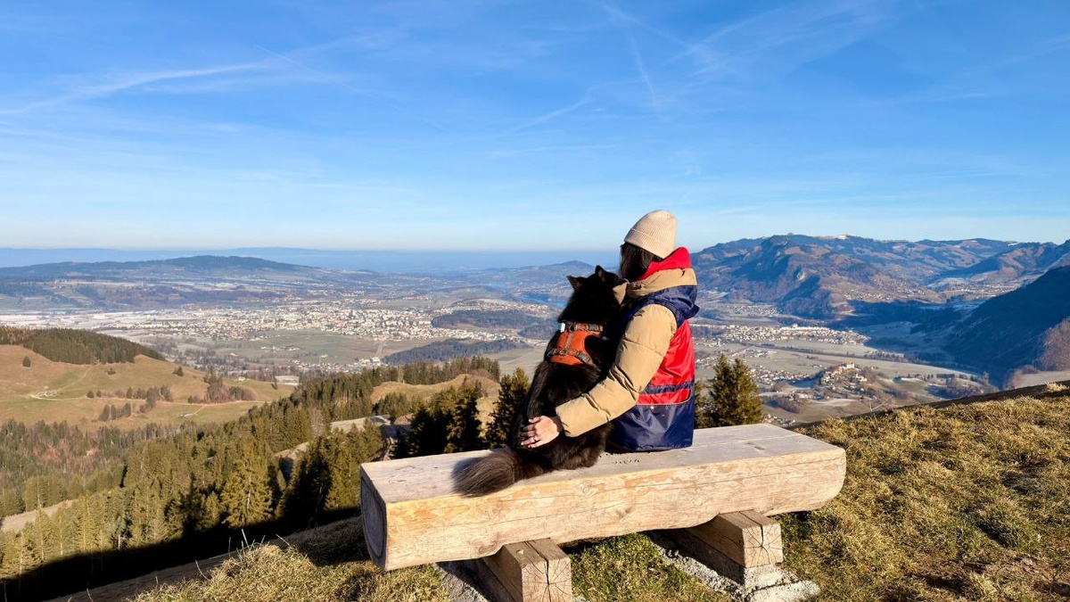 Привет из Европы от Сэма. Мы очень хотим, чтобы все собаки приюта смогли найти своих хозяев и быть счастливыми, неважно будет это в Европе или в России, главное, чтобы собачек любили хозяева