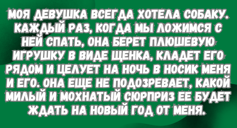 16 ситуаций, которые могли случиться только в новогоднюю ночь