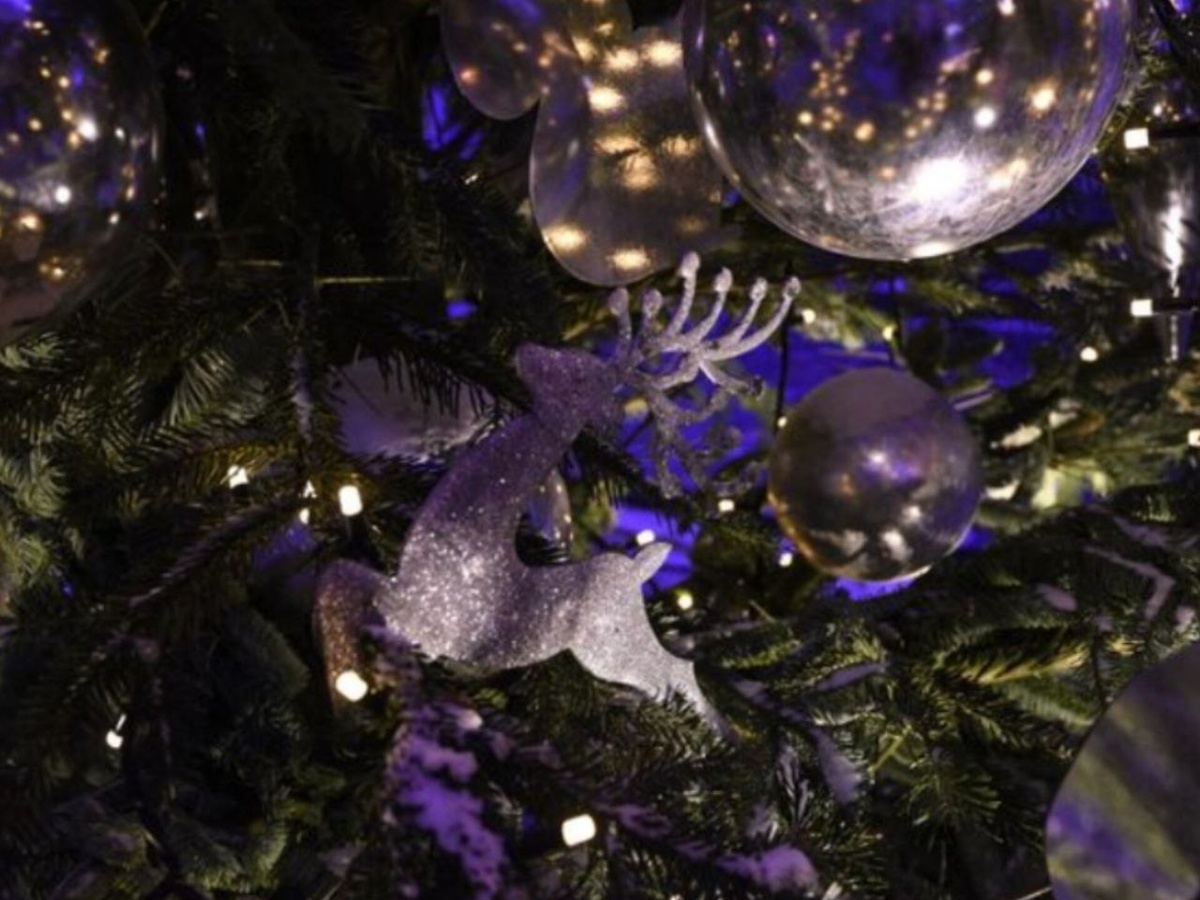    Фото: медиасток.рф