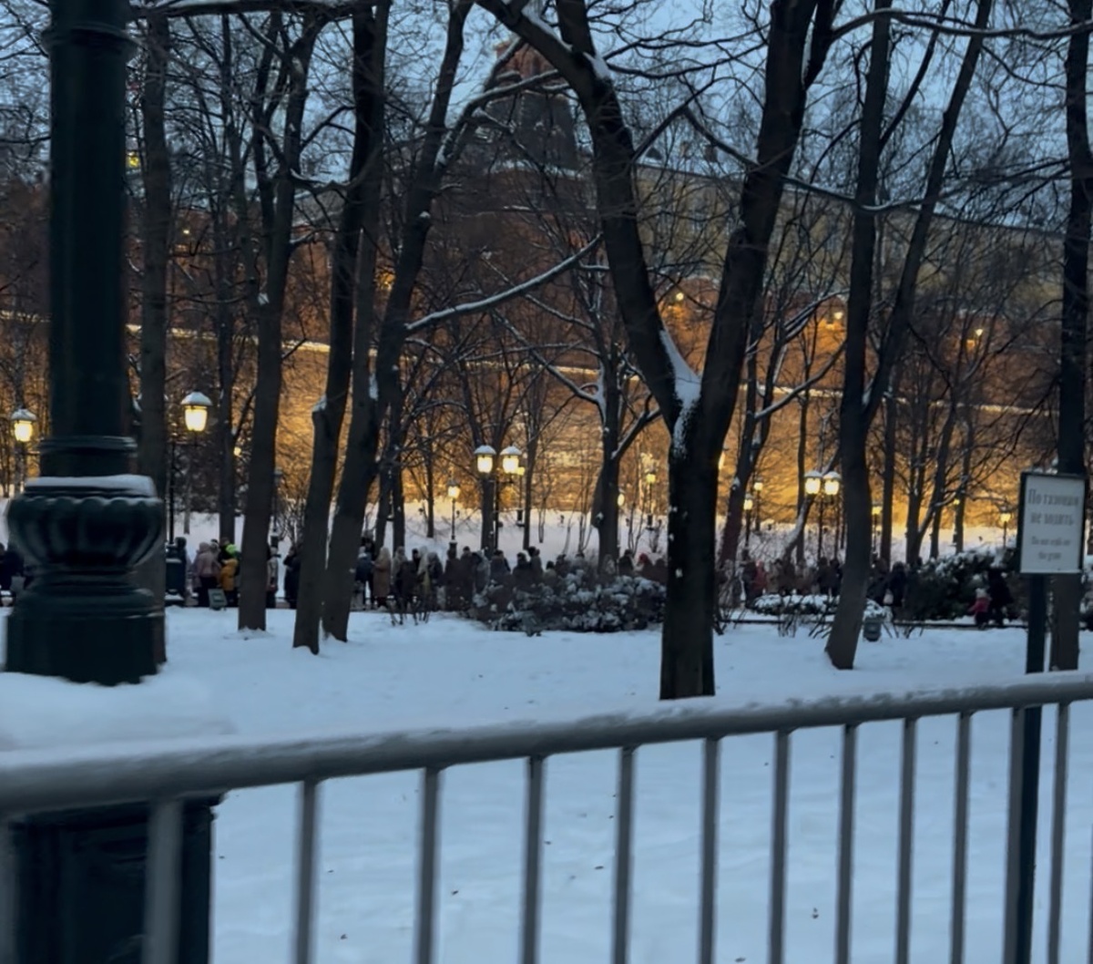 Очередь на Кремлёвскую ёлку 