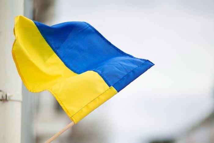 Обложка © freepik