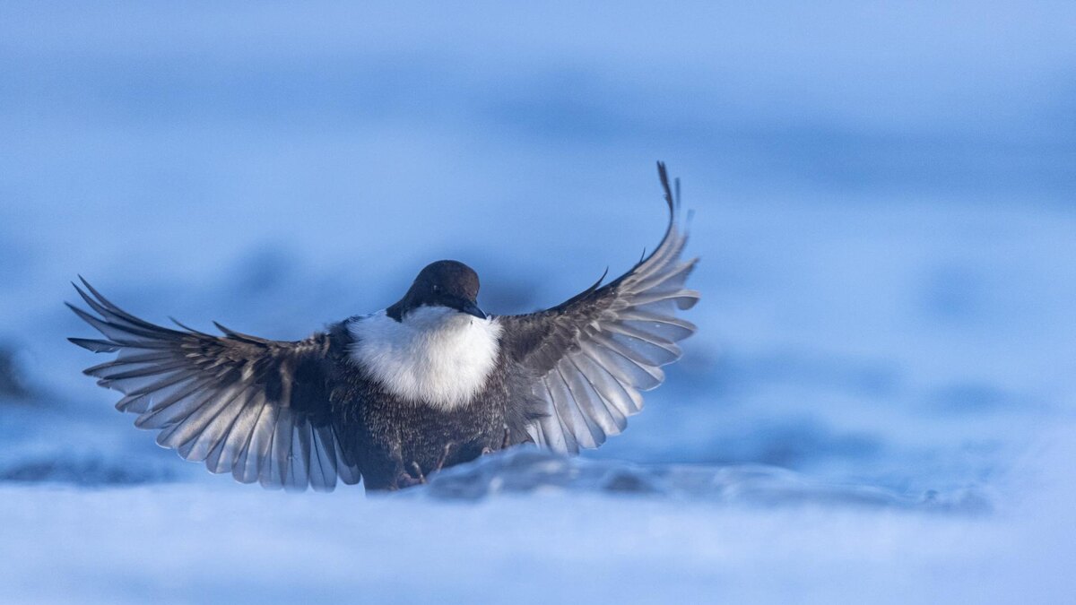    Фото: t.me/astrophotoboloto