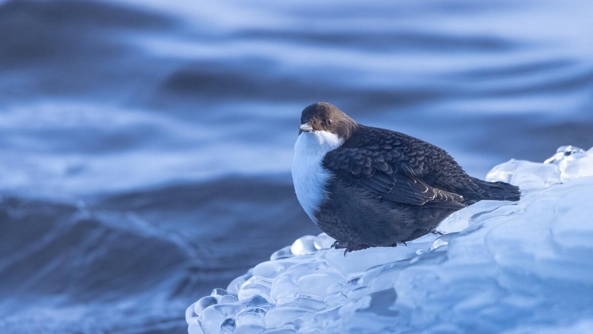    Фото: t.me/astrophotoboloto