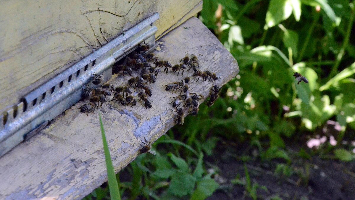    Фото: Сергей Егоров