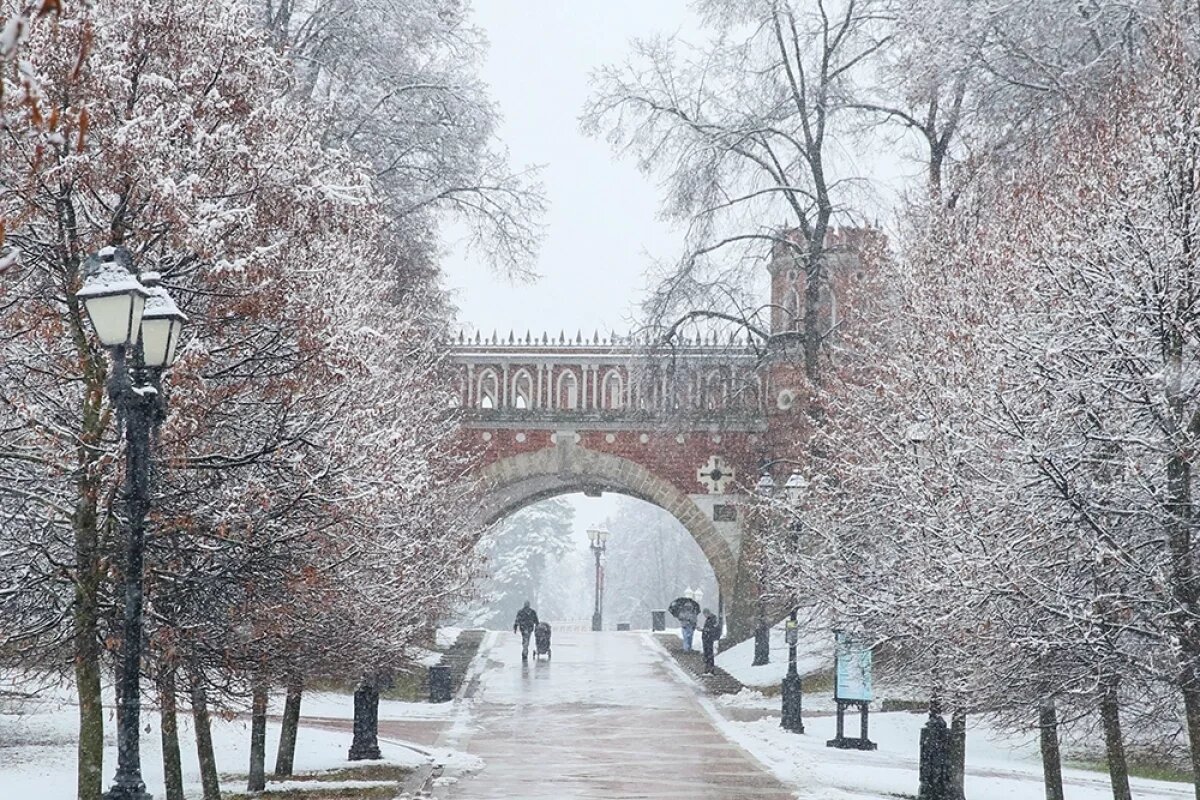    Зима в феврале.