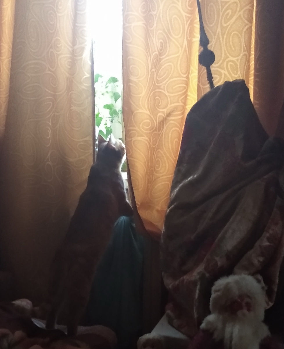 Личное фото