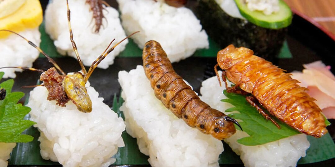 Производители еды из наскомых начали массово банкротиться