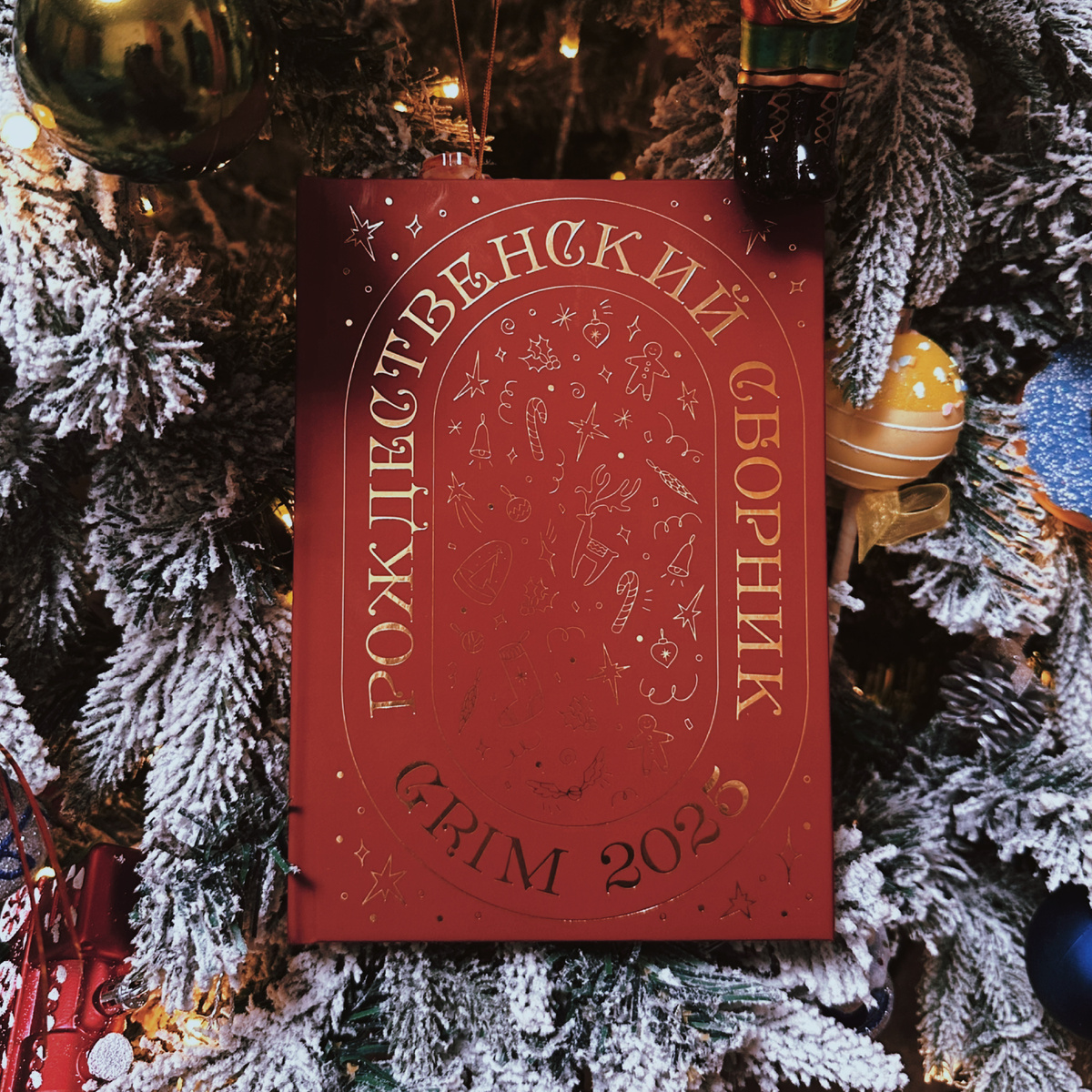 Фото Анны Карповой/Книжная лавка: жизнь любителя почитать