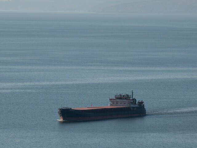    Фото: ТАСС/Александр Манзюк
