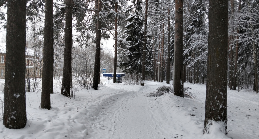    Фото prochepetsk.ru