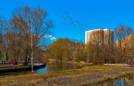 Фото из интернета.