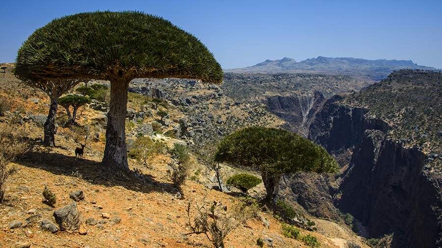    Фото: Global Look Press/Michael Runkel