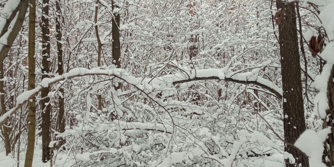 1 января. Выходишь на улицу утром - пусто, как в пандемию