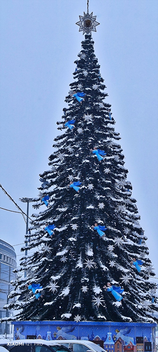 Ёлка у монастыря.