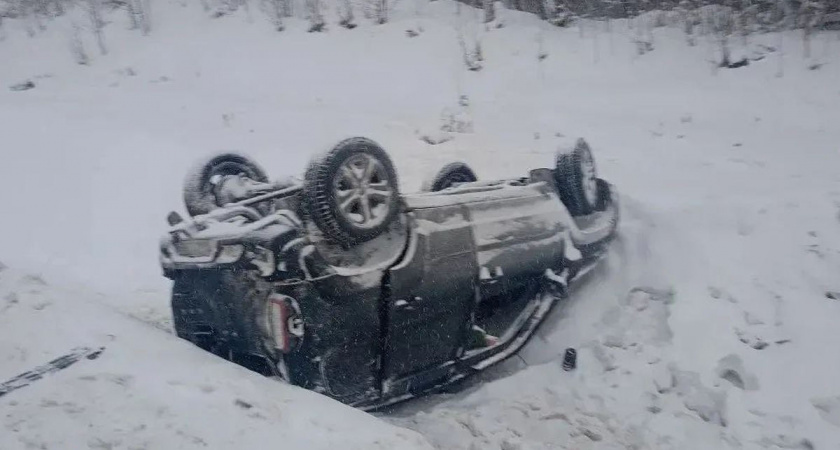    УМВД России по Вологодской области