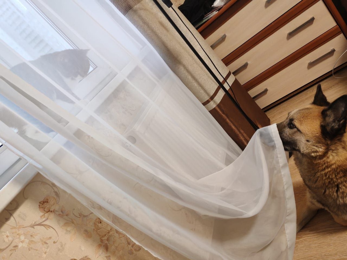 "Уж я к ней и так и этак, со словами и без слов!" (с)