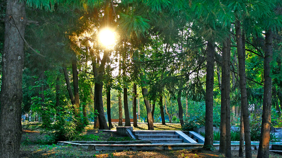 Тропинки санатория "Зелёная роща" весьма живописны. Источник: https://ooo-sanatoriy.ru/zelenaya_roshcha_sanatoriy/o_sanatorii/fotogalereya/territoriya_sanatoriya_zel_naya_roshcha_foto